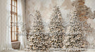 Lovely Loft Serene Christmas Lights (CC)