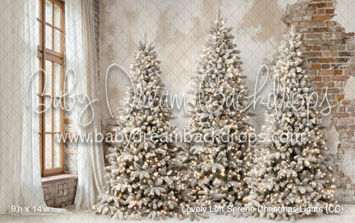 Lovely Loft Serene Christmas Lights (CC)
