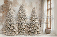 Lovely Loft Serene Christmas Lights Flipped (CC)