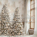 Lovely Loft Serene Christmas Lights Flipped (CC)
