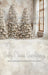Lovely Loft Serene Christmas Lights Flipped Sweeps (CC)