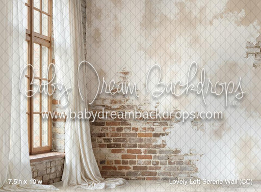 Lovely Loft Serene Wall (CC)