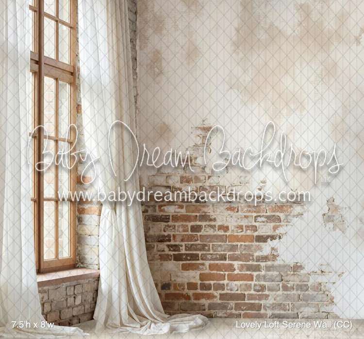 Lovely Loft Serene Wall (CC)