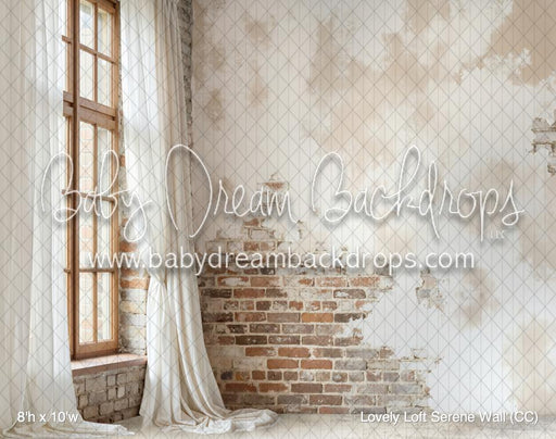 Lovely Loft Serene Wall (CC)
