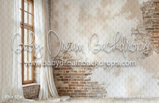Lovely Loft Serene Wall (CC)