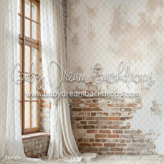 Lovely Loft Serene Wall (CC)