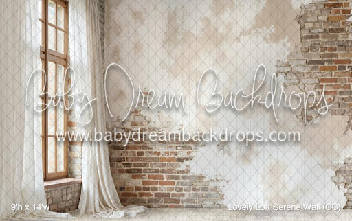 Lovely Loft Serene Wall (CC)