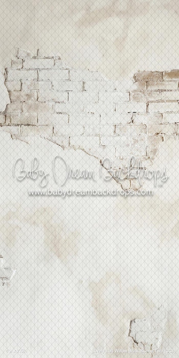 Lovely Loft Willow Brick Skinny Two (CC)