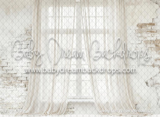 Lovely Loft Willow Window (CC)