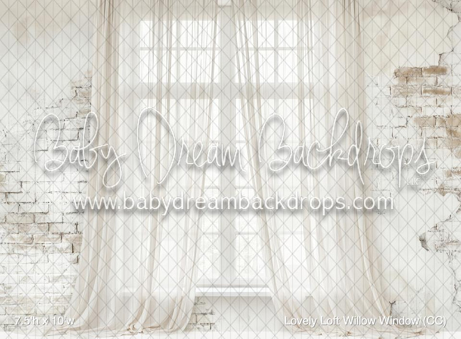 Lovely Loft Willow Window (CC)