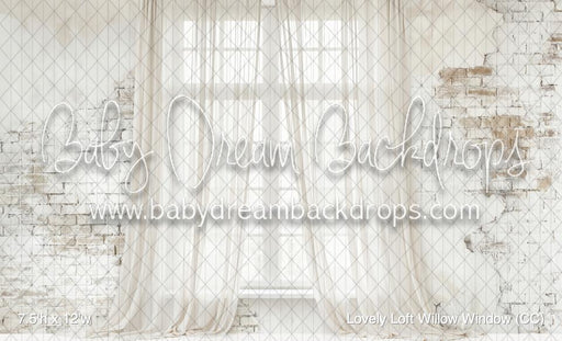 Lovely Loft Willow Window (CC)