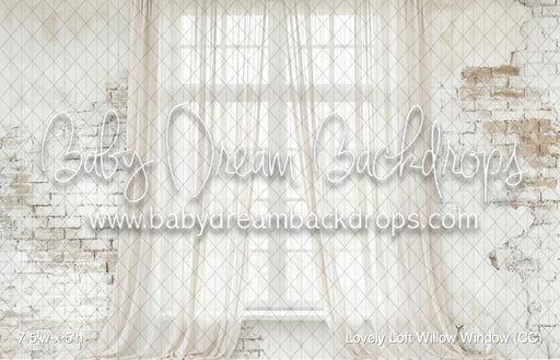 Lovely Loft Willow Window (CC)