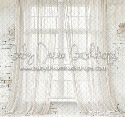 Lovely Loft Willow Window (CC)