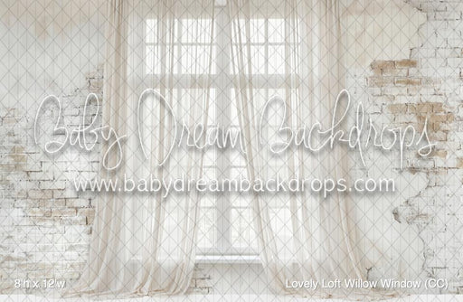Lovely Loft Willow Window (CC)