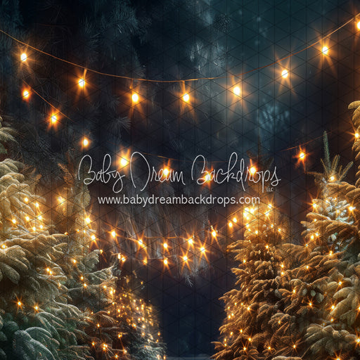 Magic at the Tree Farm (JA)