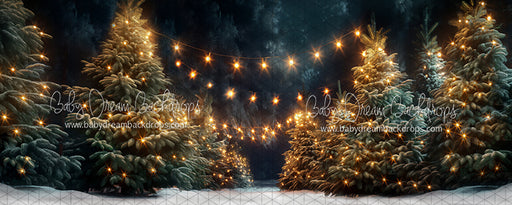 Magic at the Tree Farm (JA)