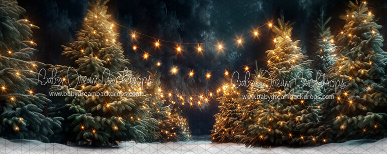 Magic at the Tree Farm (JA)