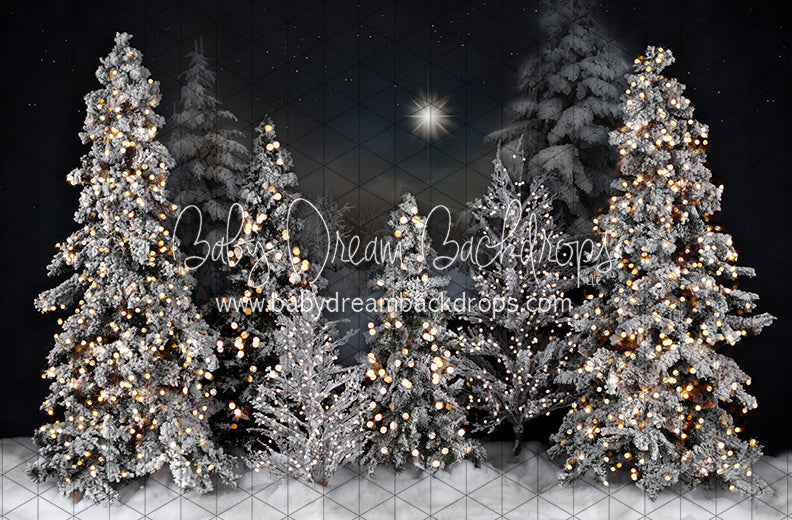 Magic in the Starlight Lights (JA)