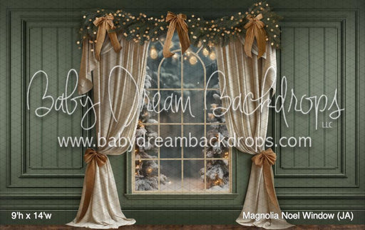 Magnolia Noel Window (JA)