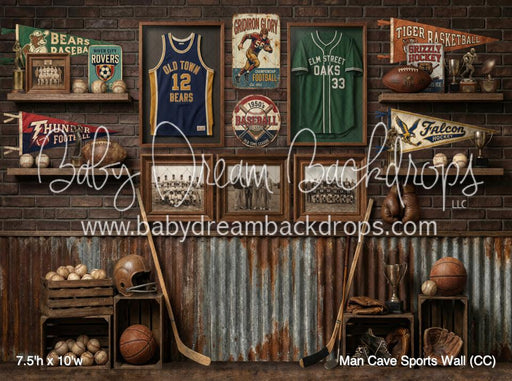 Man Cave Sports Wall (CC)