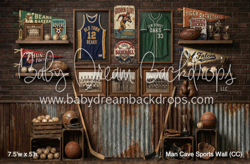 Man Cave Sports Wall (CC)