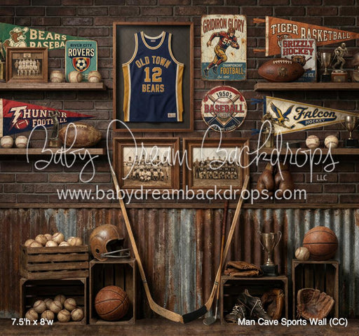 Man Cave Sports Wall (CC)