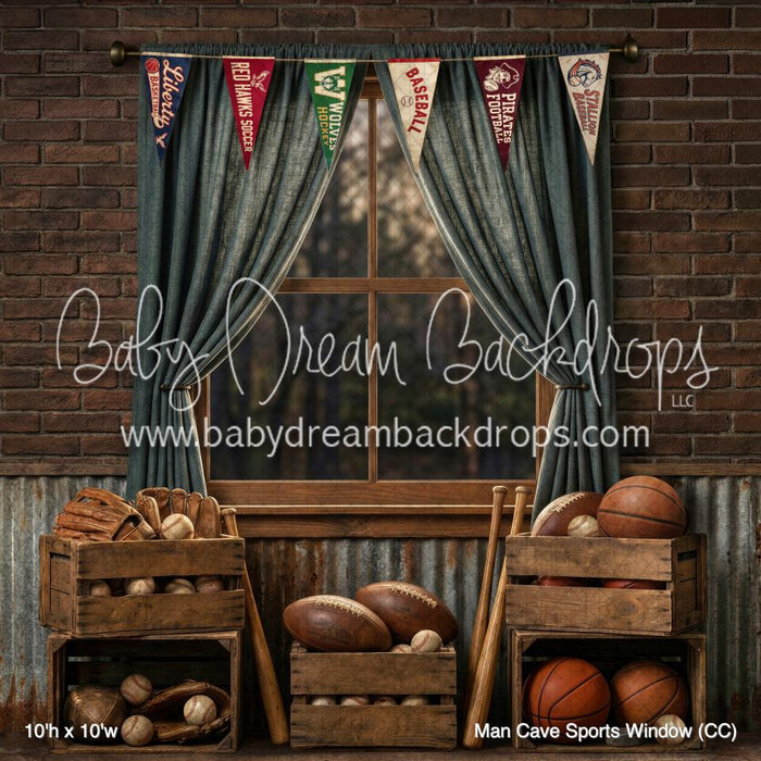 Man Cave Sports Window (CC)