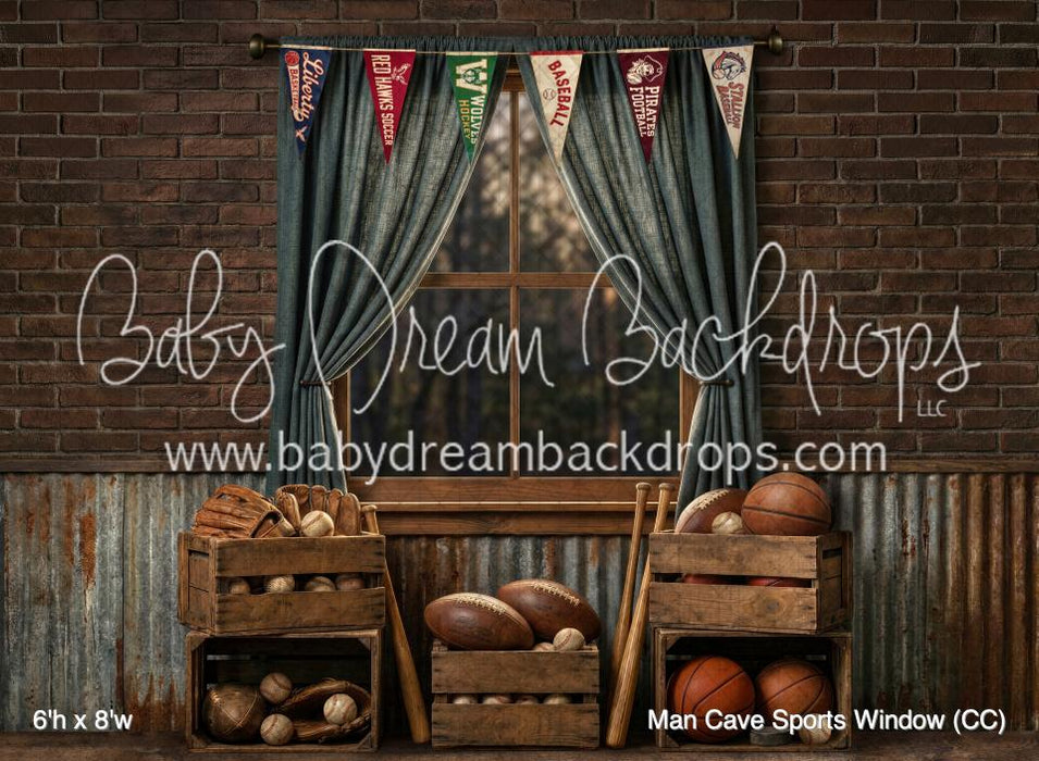 Man Cave Sports Window (CC)