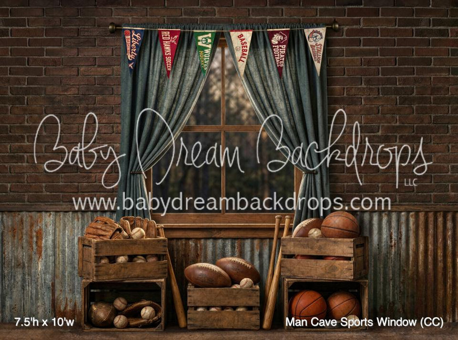 Man Cave Sports Window (CC)