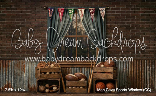 Man Cave Sports Window (CC)
