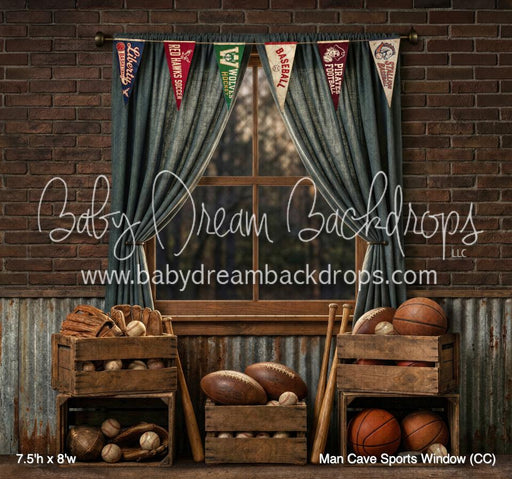 Man Cave Sports Window (CC)