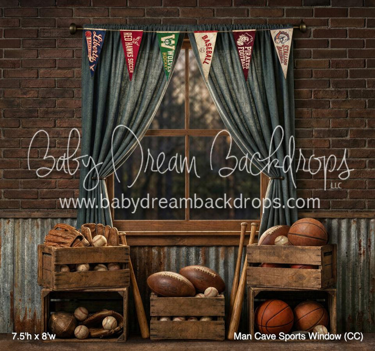 Man Cave Sports Window (CC)