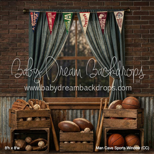 Man Cave Sports Window (CC)