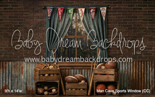 Man Cave Sports Window (CC)