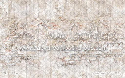 Manhatten Brick (SS)