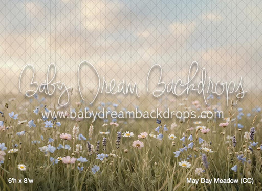 May Day Meadow (CC)
