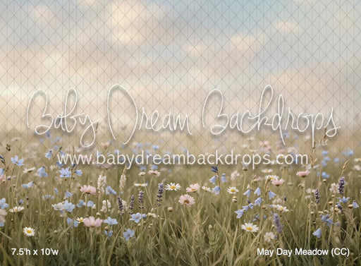 May Day Meadow (CC)