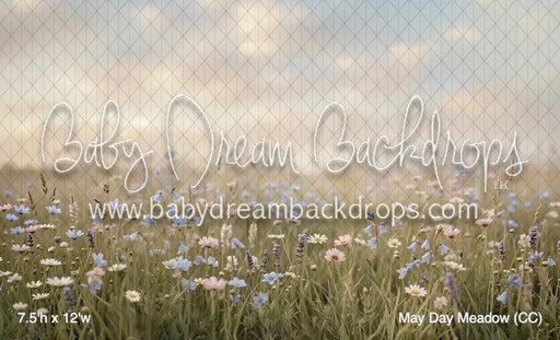 May Day Meadow (CC)