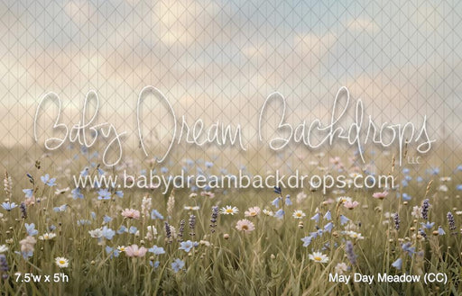 May Day Meadow (CC)