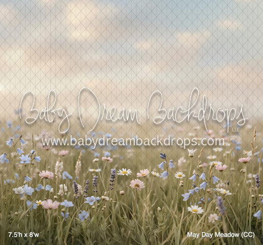 May Day Meadow (CC)
