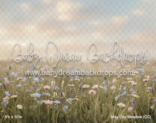 May Day Meadow (CC)