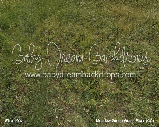 Meadow Green Grass Floor (CC)