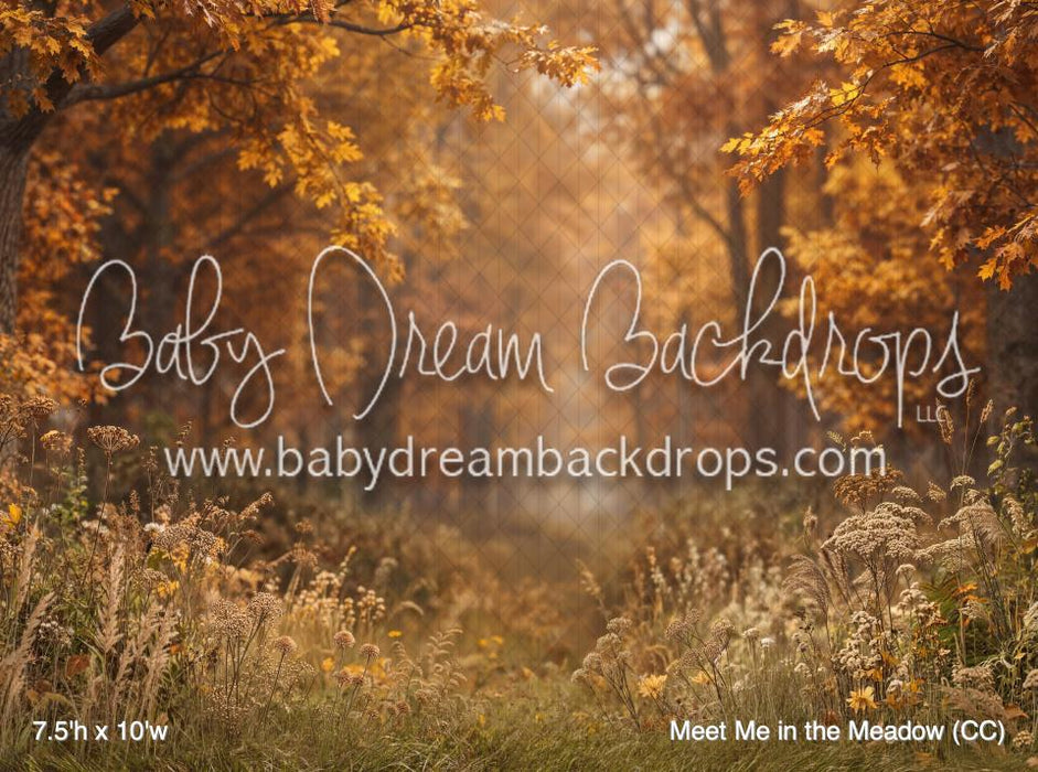 Meet Me in the Meadow (CC)