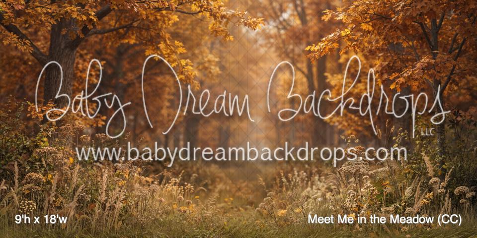 Meet Me in the Meadow (CC)