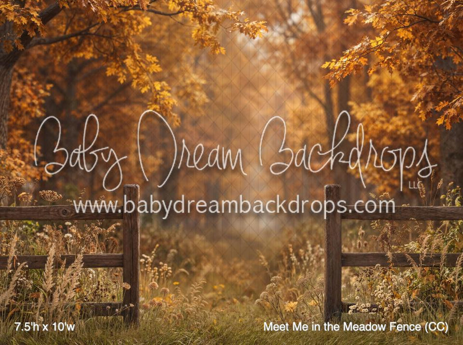 Meet Me in the Meadow Fence (CC)