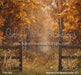 Meet Me in the Meadow Fence (CC)