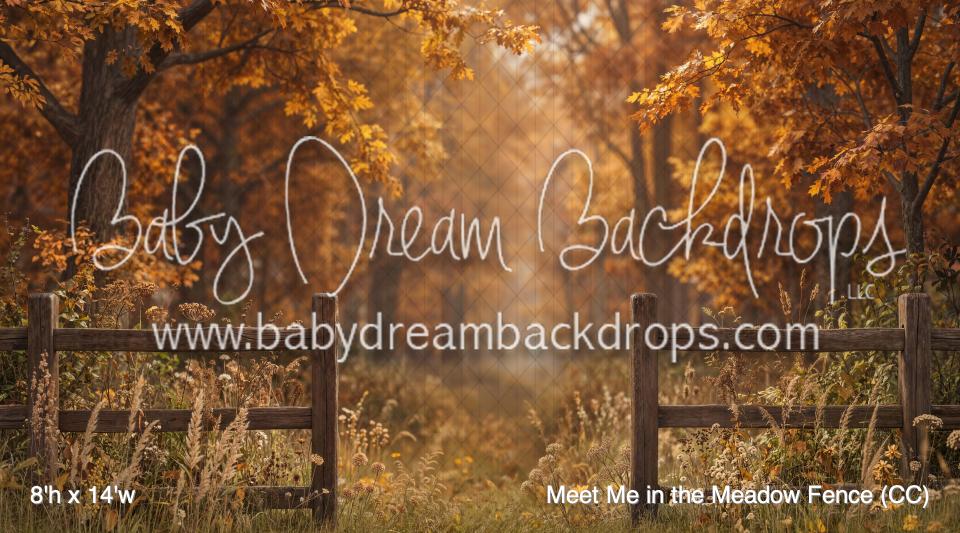 Meet Me in the Meadow Fence (CC)