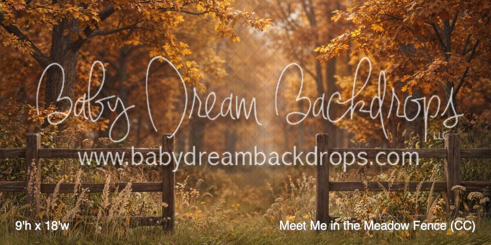 Meet Me in the Meadow Fence (CC)