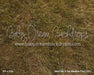 Meet Me in the Meadow Floor (CC)