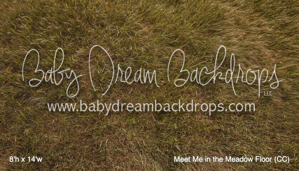 Meet Me in the Meadow Floor (CC)